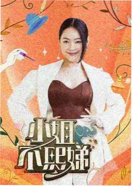 陪看综艺夜间时段报告配图